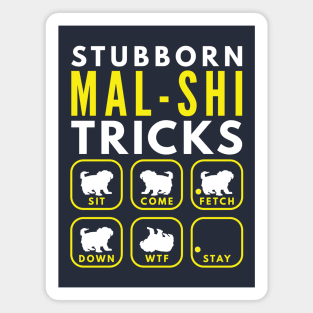 Stubborn Mal-Shi Tricks - Dog Training Magnet